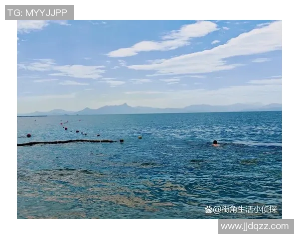 魅力沙滩风尚：畅享泳装时光